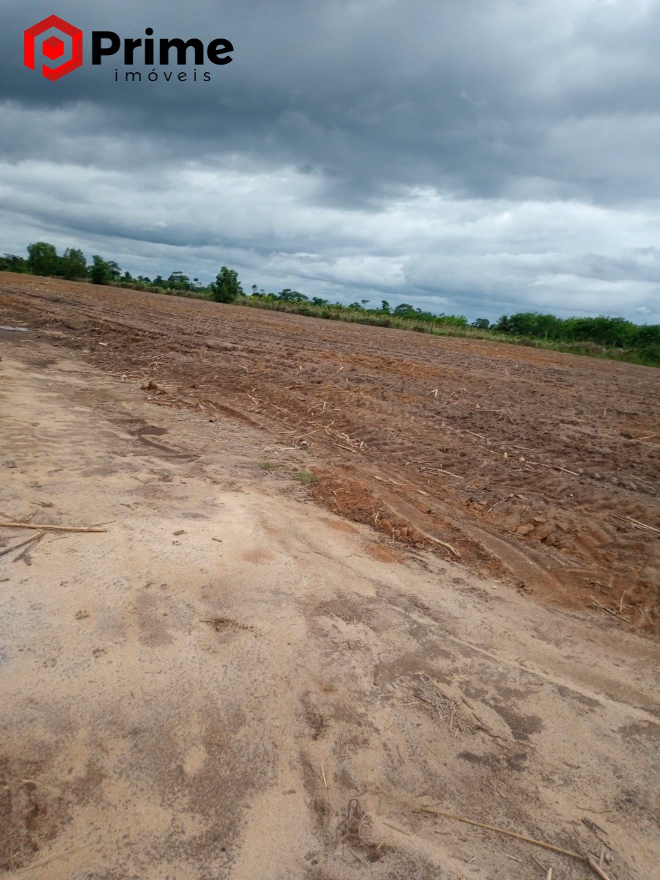 Fazenda à venda com 4 quartos - Foto 6