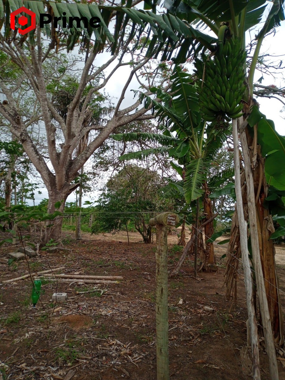 Fazenda à venda com 4 quartos - Foto 11