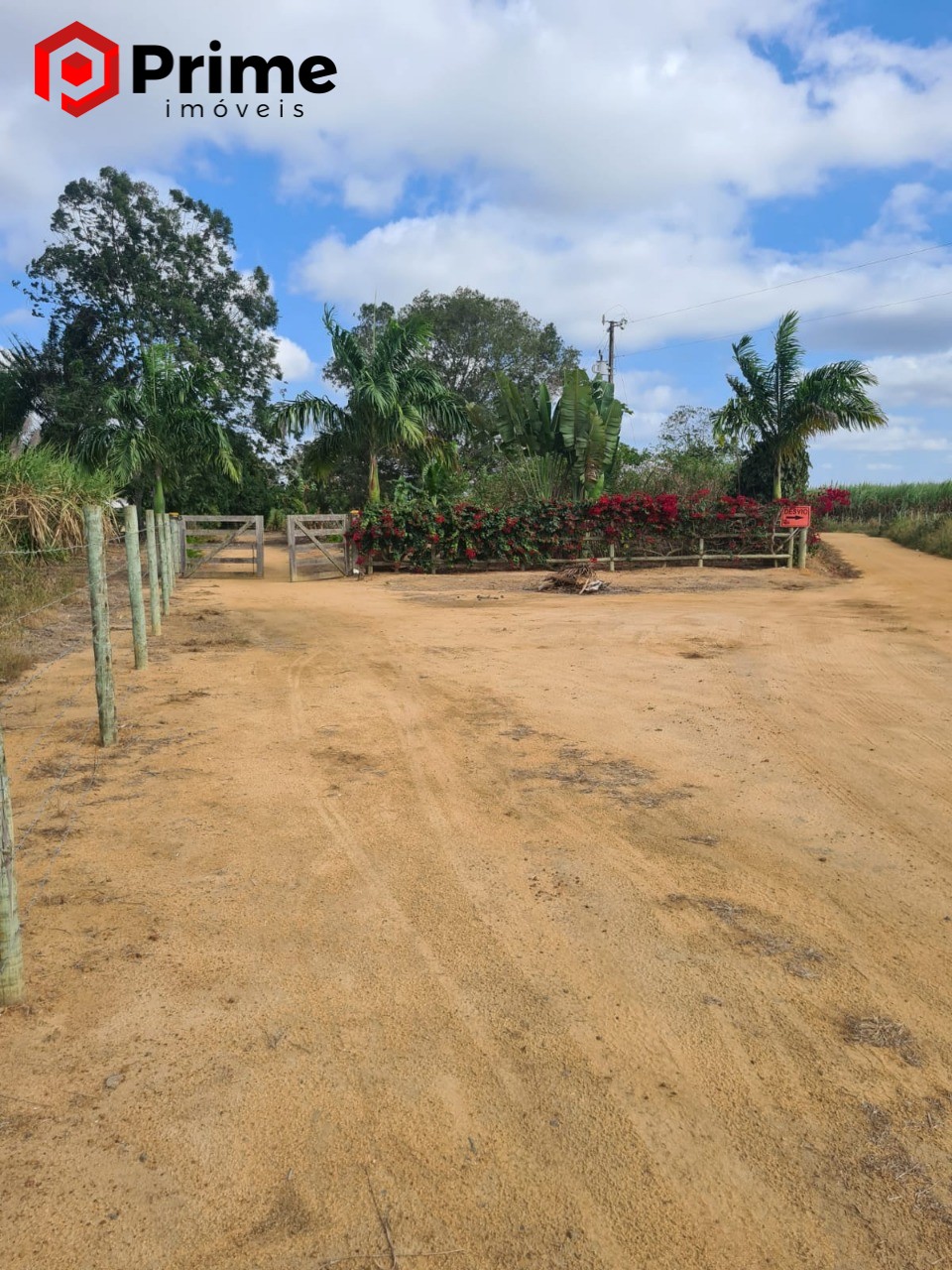 Fazenda à venda com 4 quartos - Foto 1