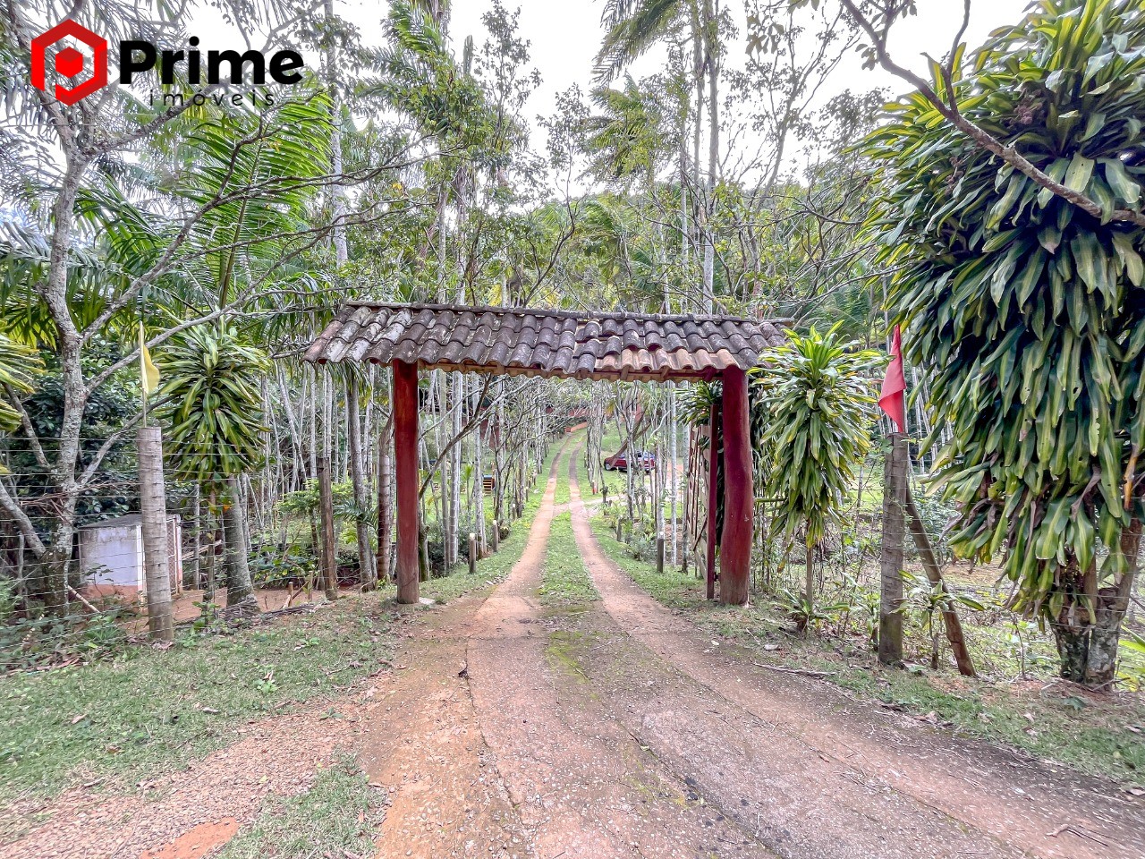 Chácara, 3 quartos, 2 hectares - Foto 47