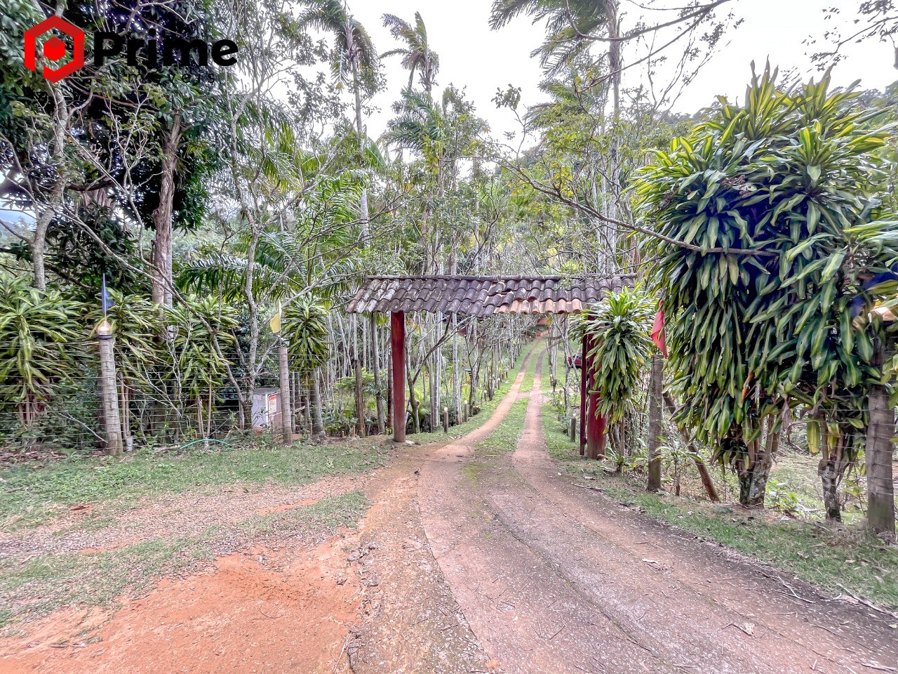 Chácara, 3 quartos, 2 hectares - Foto 46