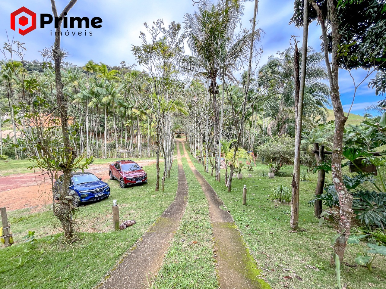 Chácara, 3 quartos, 2 hectares - Foto 36