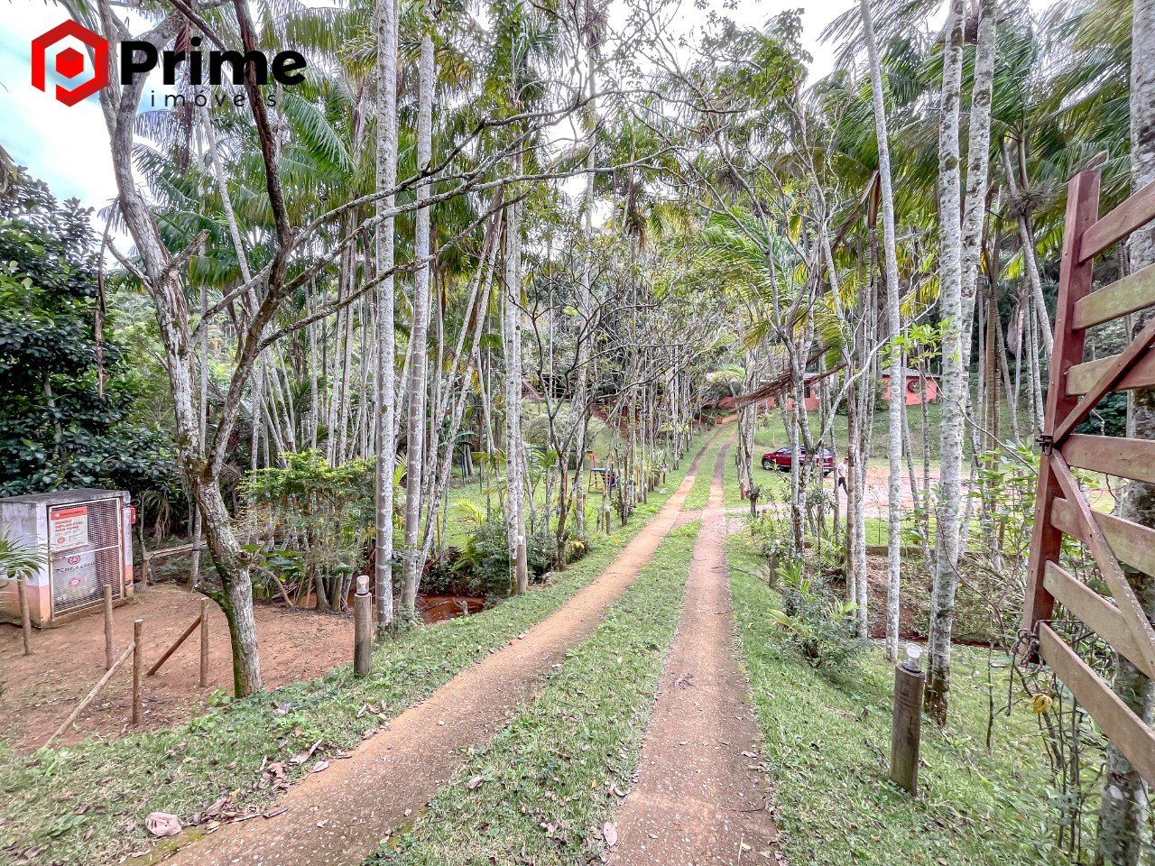 Chácara, 3 quartos, 2 hectares - Foto 48