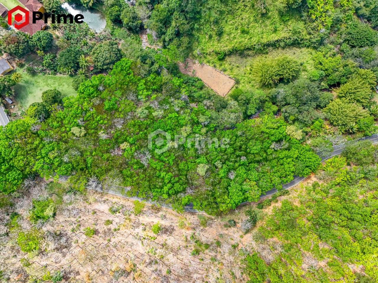 Terreno, 9000 m² - Foto 5