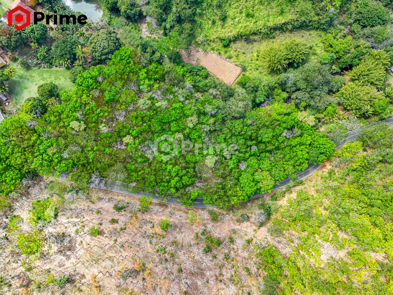 Terreno, 9000 m² - Foto 4