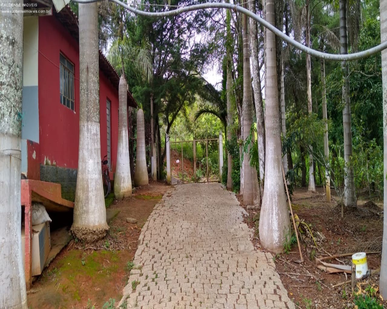 Chácara à venda com 3 quartos, 7000m² - Foto 4