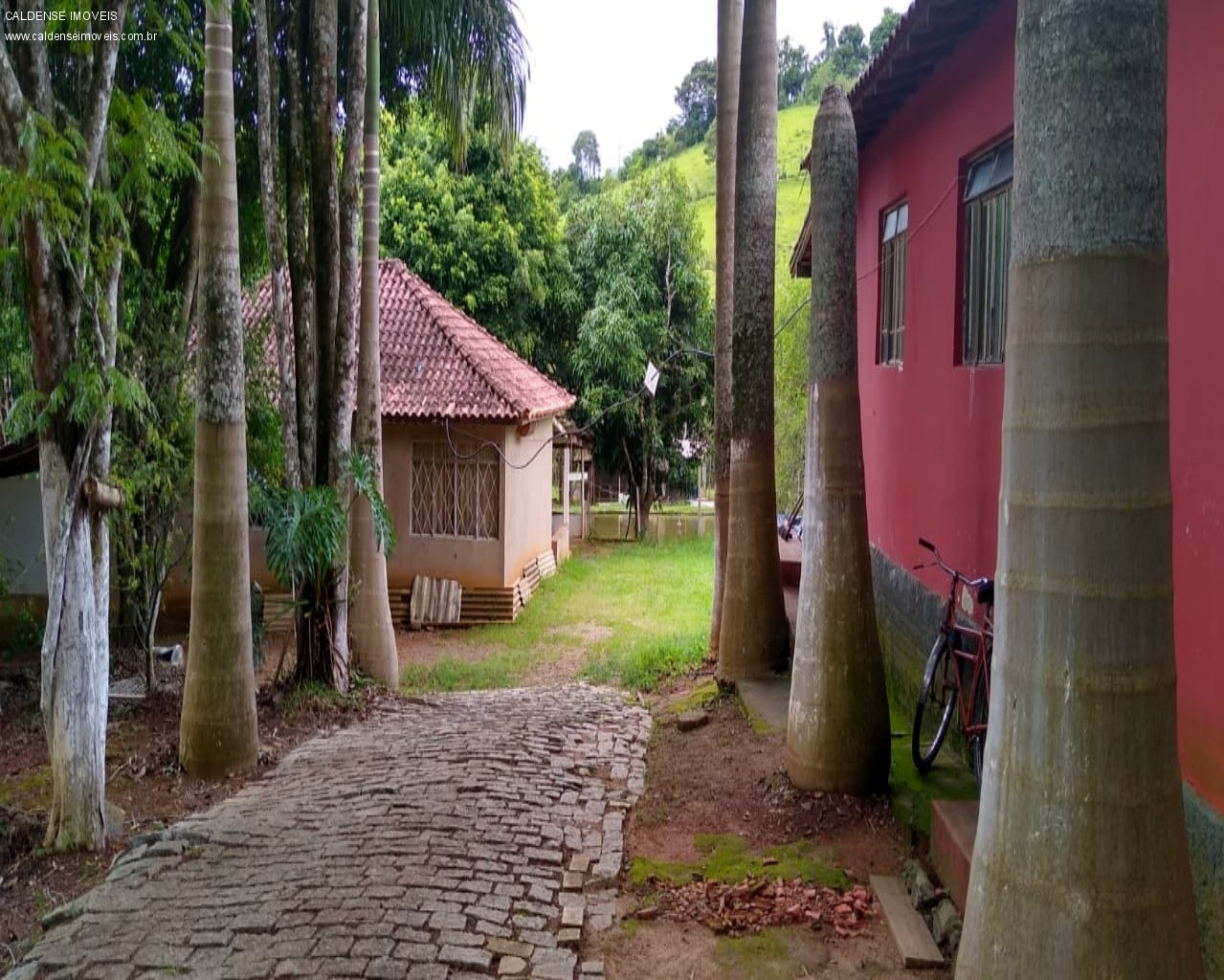 Chácara à venda com 3 quartos, 7000m² - Foto 3