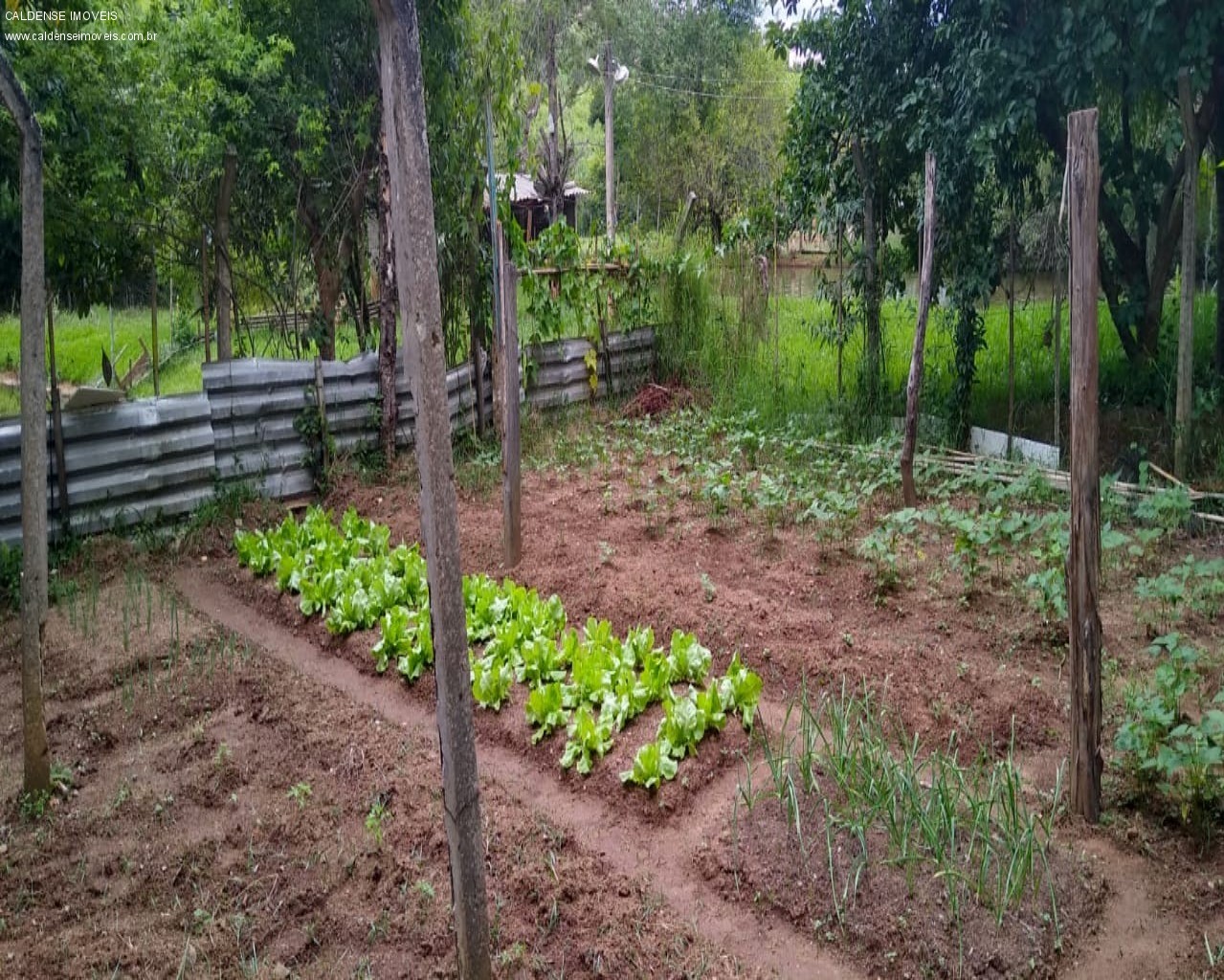 Chácara à venda com 3 quartos, 7000m² - Foto 10