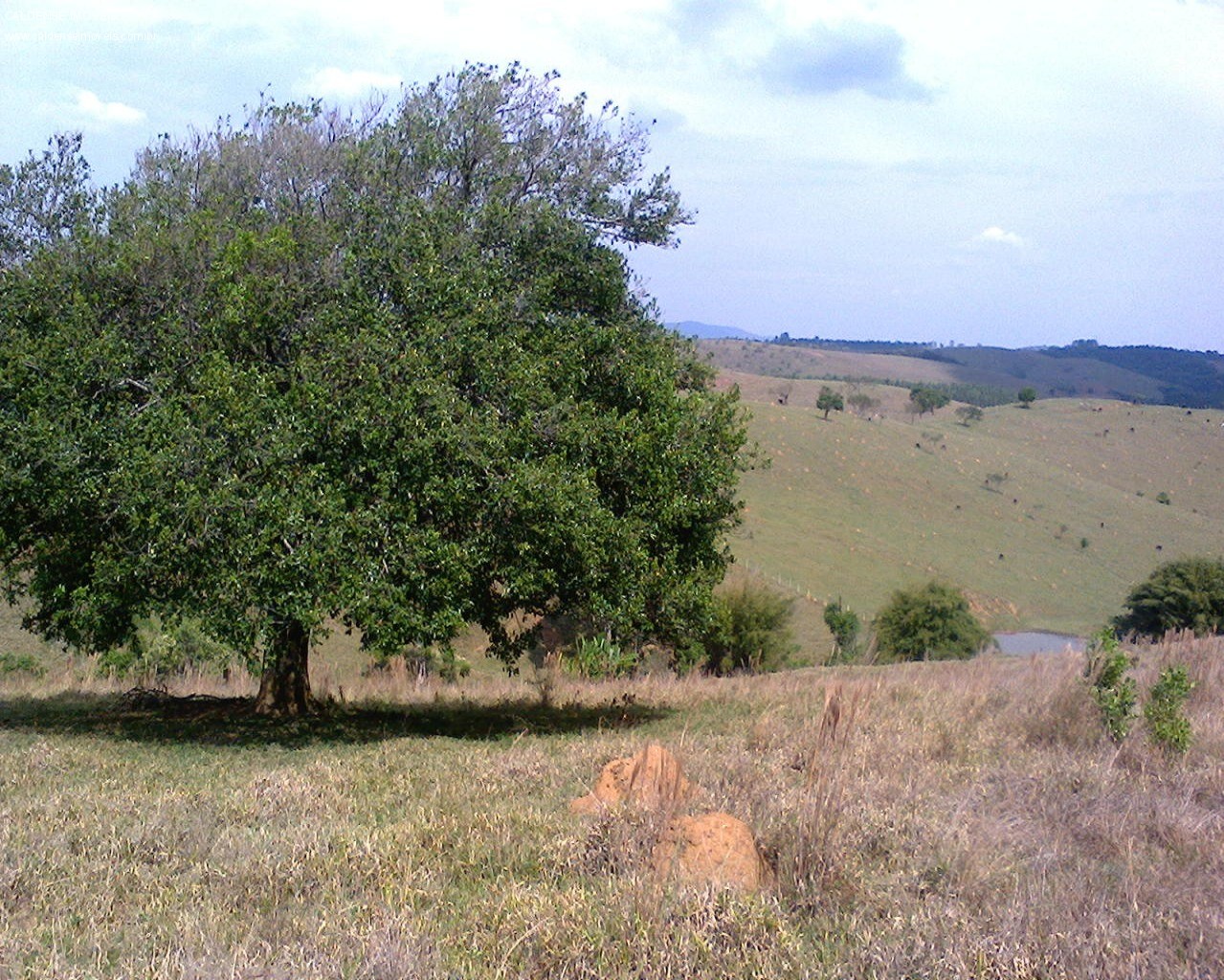 Sítio à venda - Foto 6