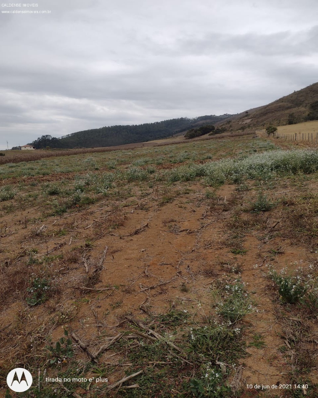 Terreno à venda, 8000m² - Foto 9