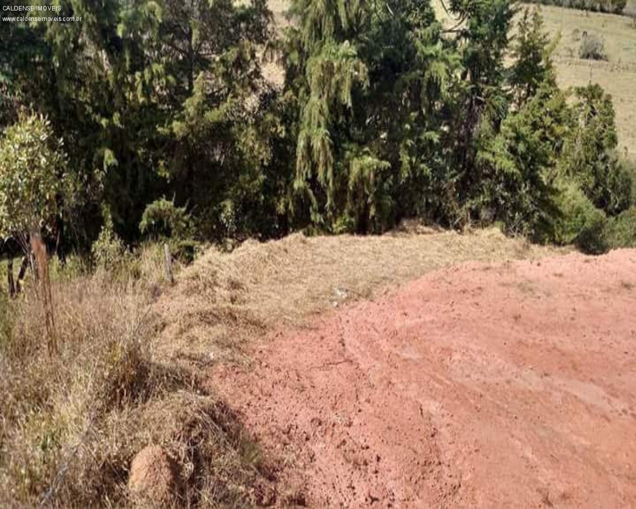 Terreno à venda, 1000m² - Foto 1