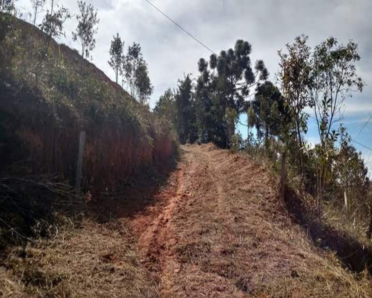 Terreno à venda, 1000m² - Foto 4