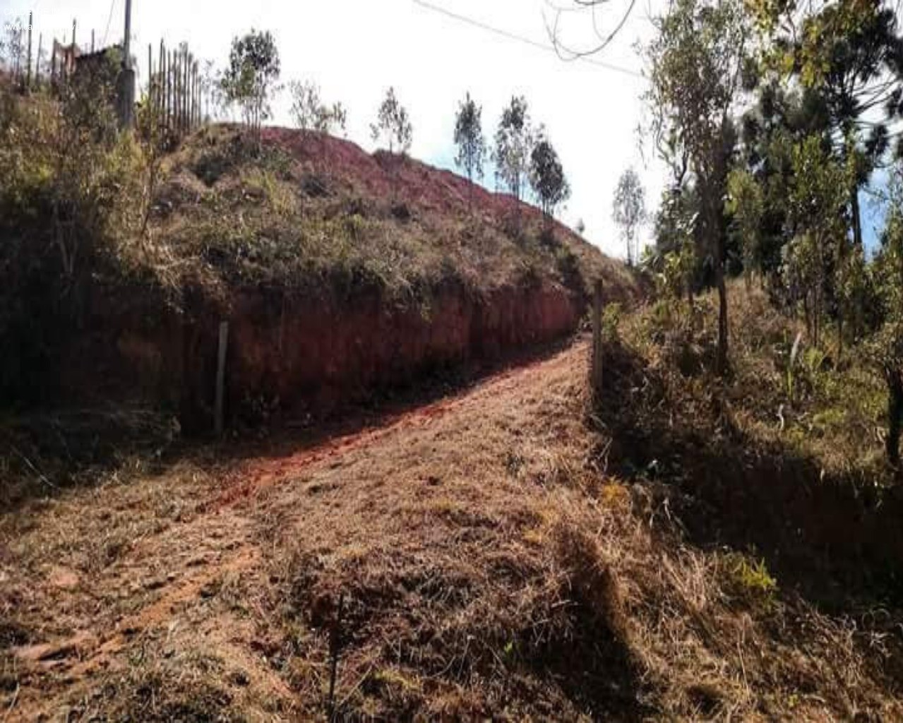 Terreno à venda, 1000m² - Foto 5