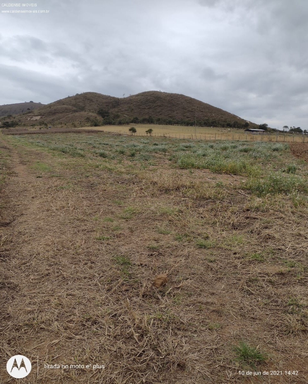 Terreno à venda, 8000m² - Foto 1