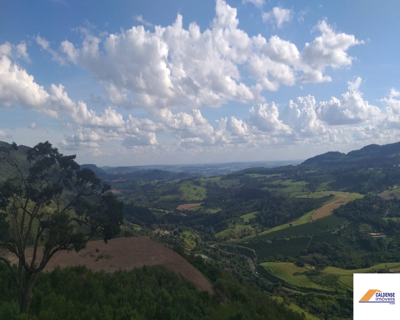 Chácara à venda, 20000m² - Foto 6