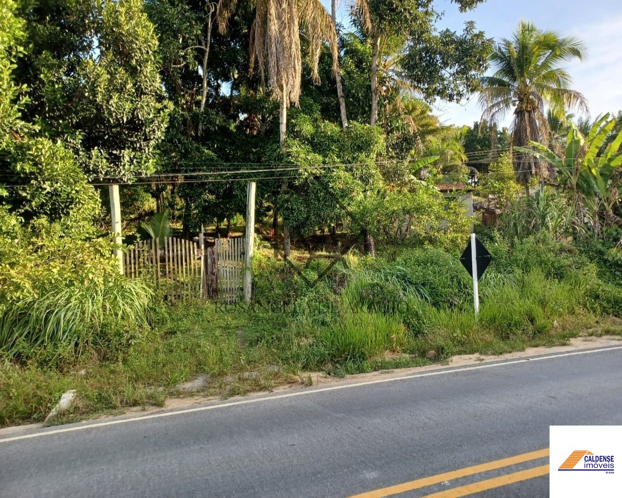 Terreno à venda, 6000m² - Foto 3