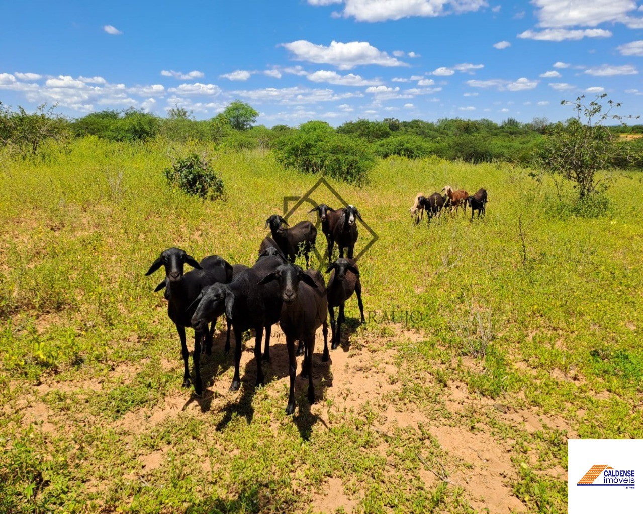 Fazenda à venda - Foto 11