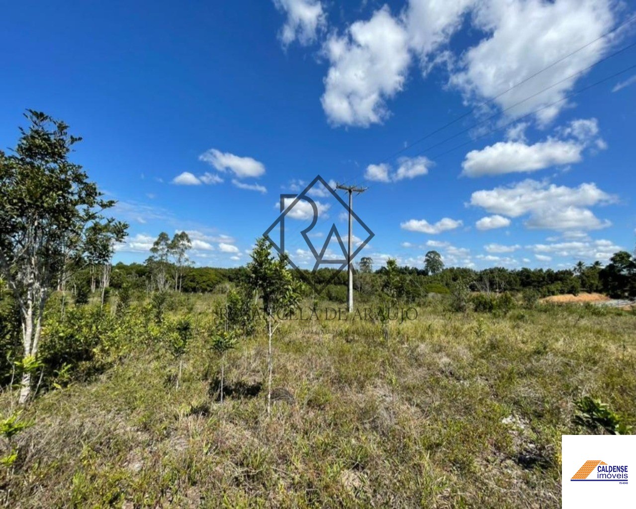 Fazenda à venda - Foto 6