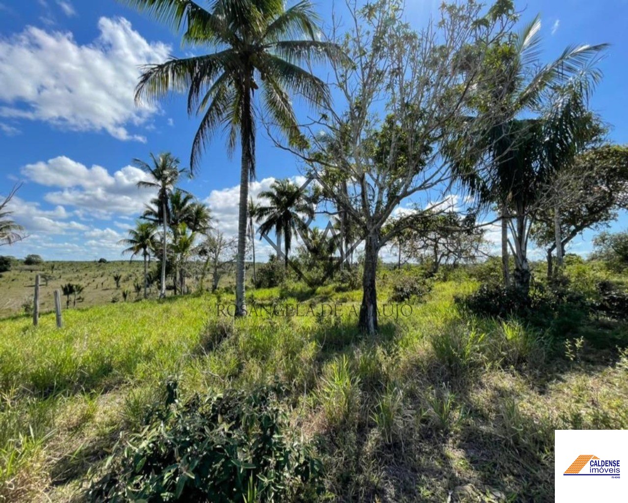 Fazenda à venda - Foto 4