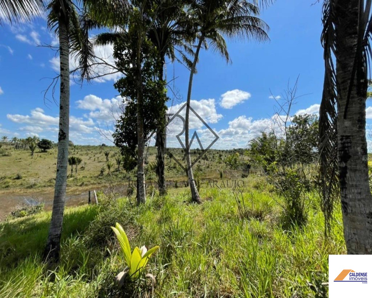 Fazenda à venda - Foto 5