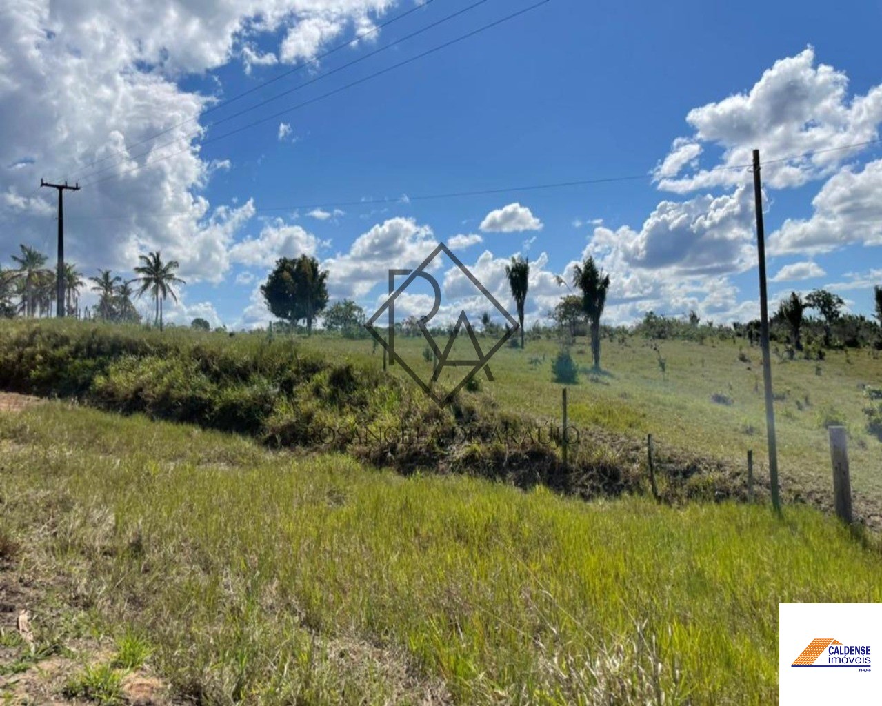 Fazenda à venda - Foto 18