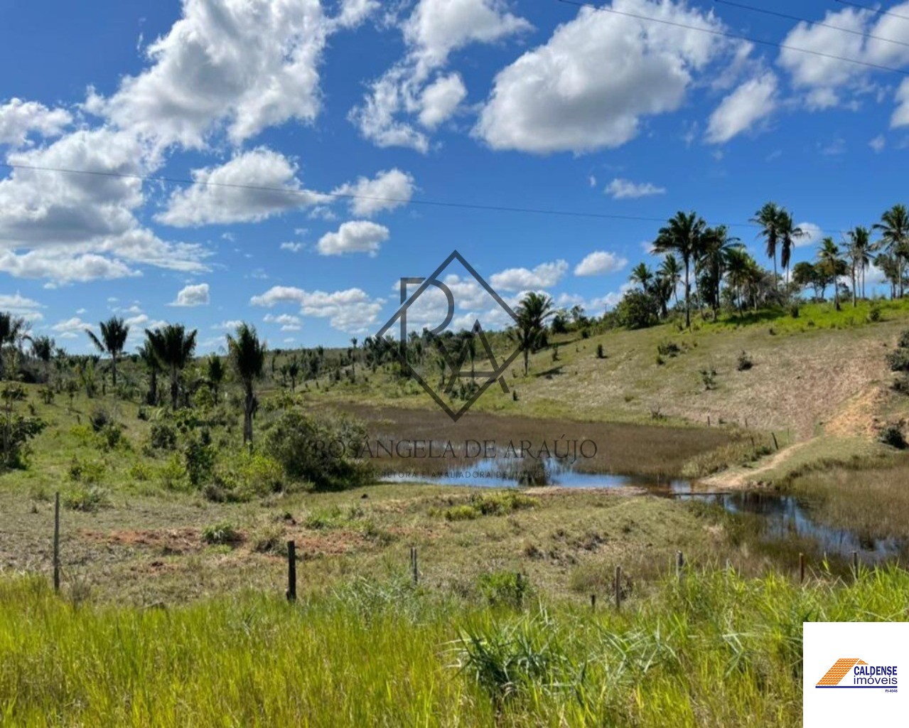 Fazenda à venda - Foto 19