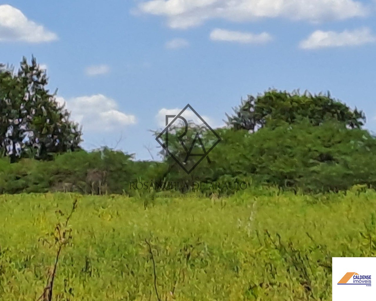 Fazenda à venda - Foto 10