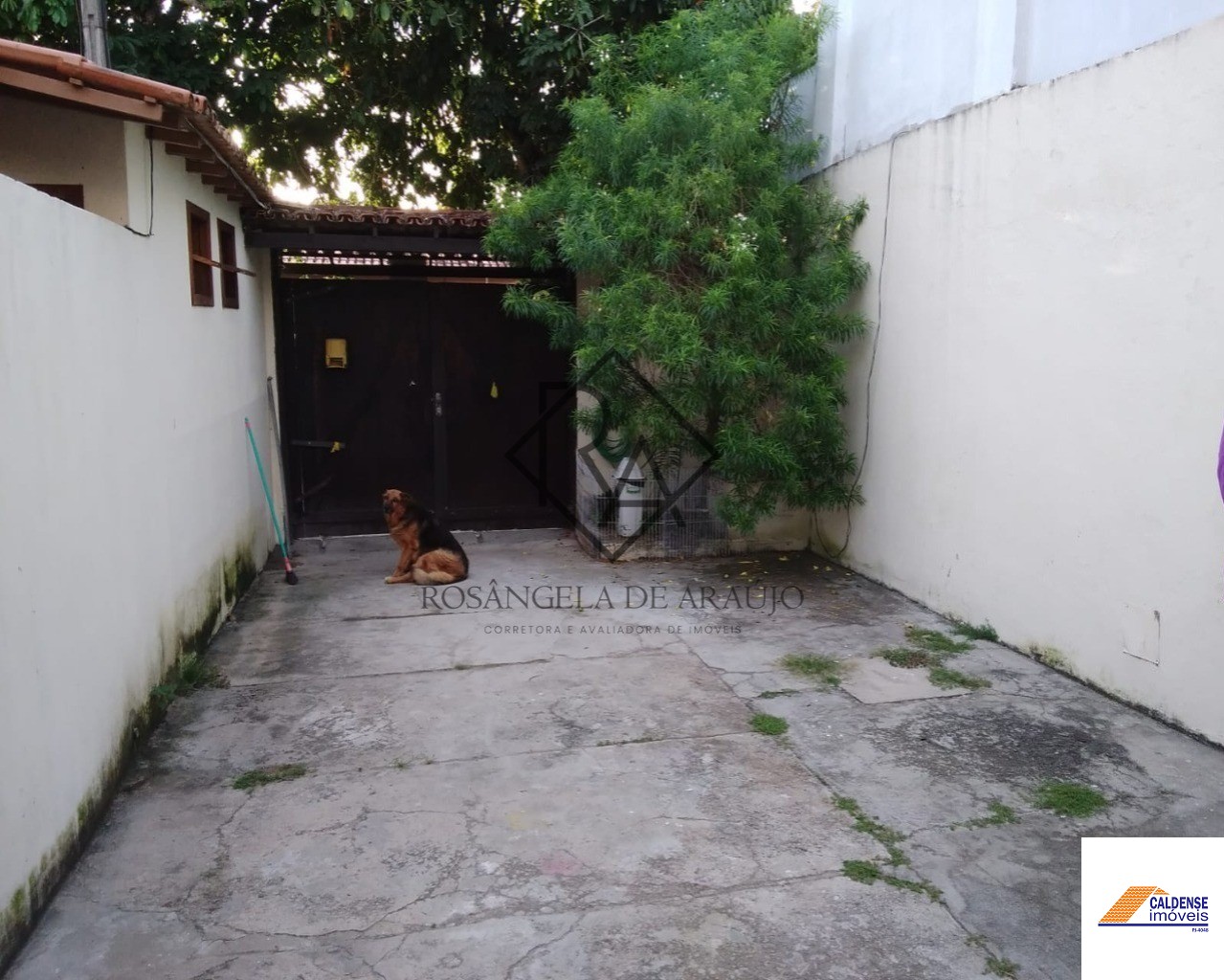 Casa à venda com 4 quartos, 200m² - Foto 1