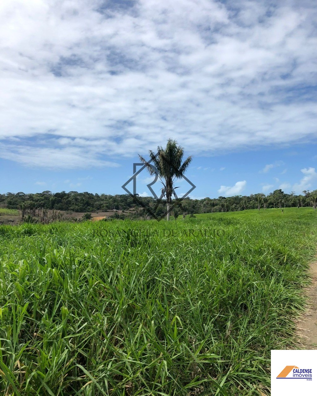 Fazenda à venda - Foto 38