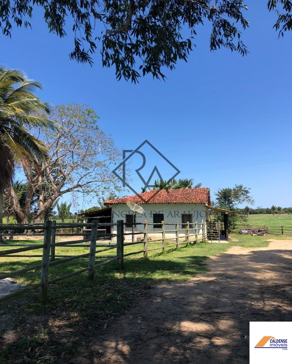 Fazenda à venda - Foto 12