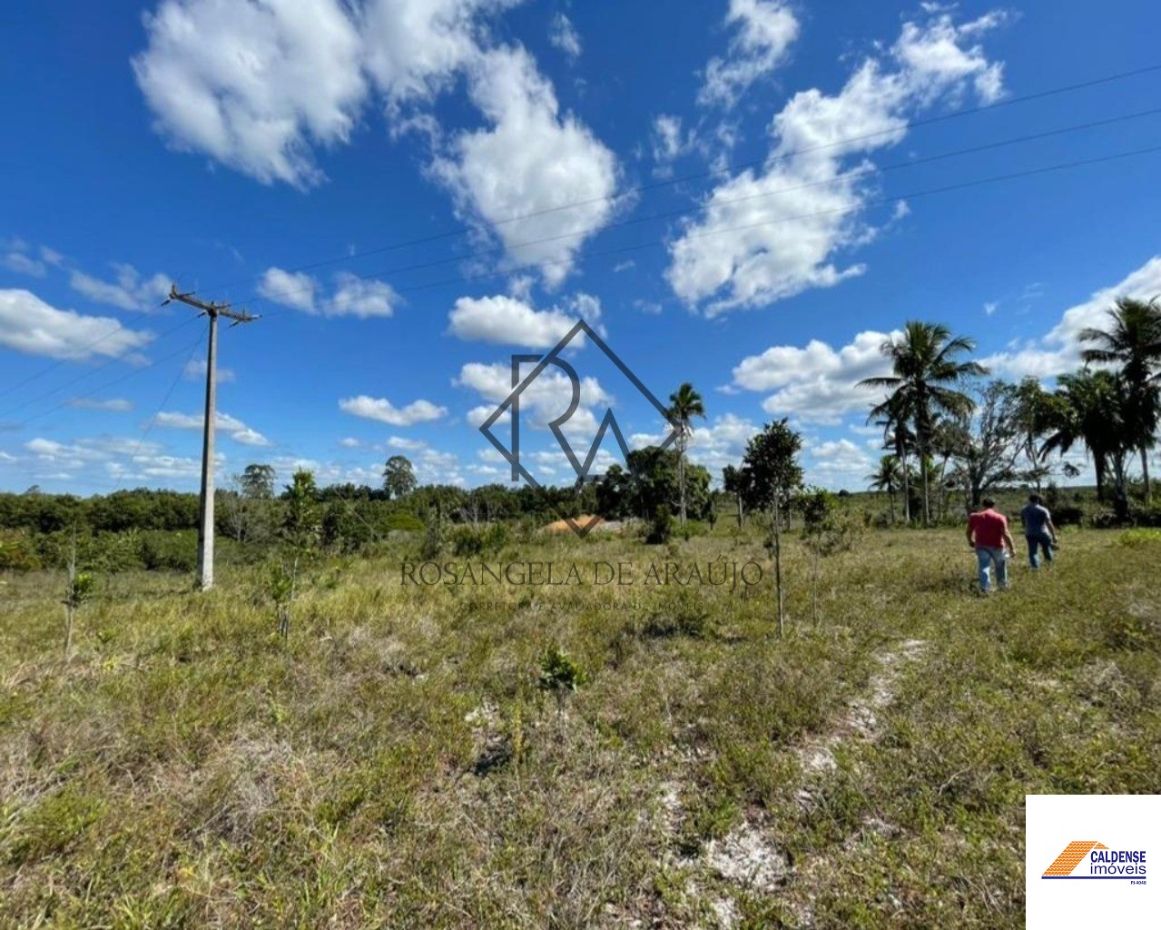 Fazenda à venda - Foto 1