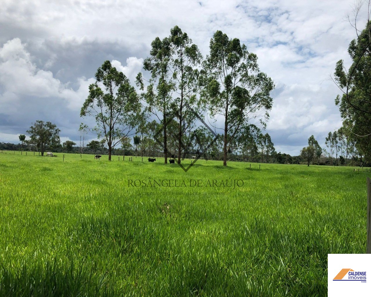 Fazenda à venda - Foto 34