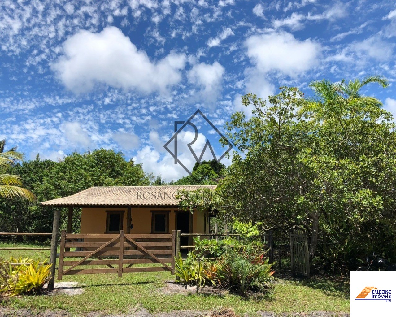 Fazenda à venda - Foto 6