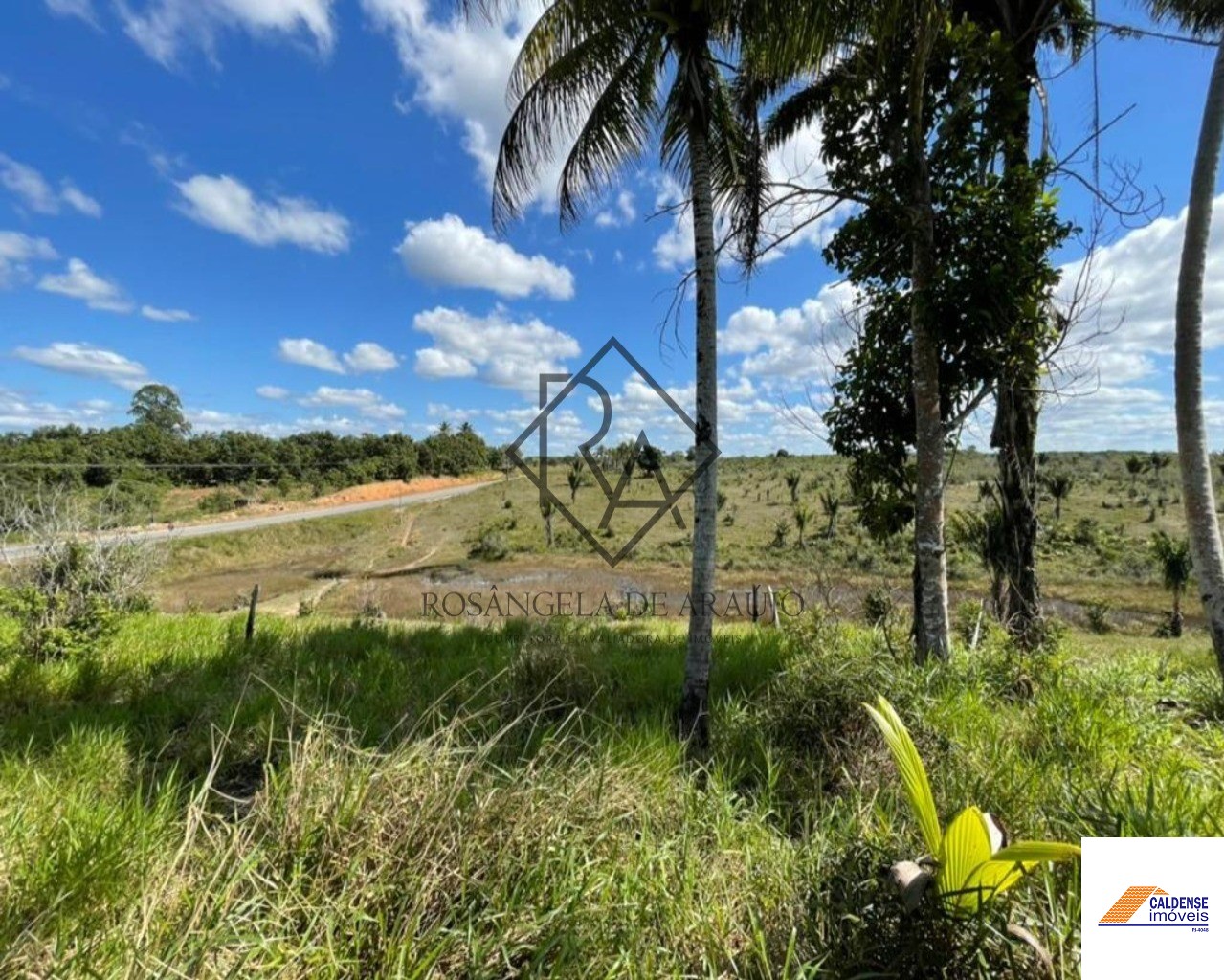 Fazenda à venda - Foto 11