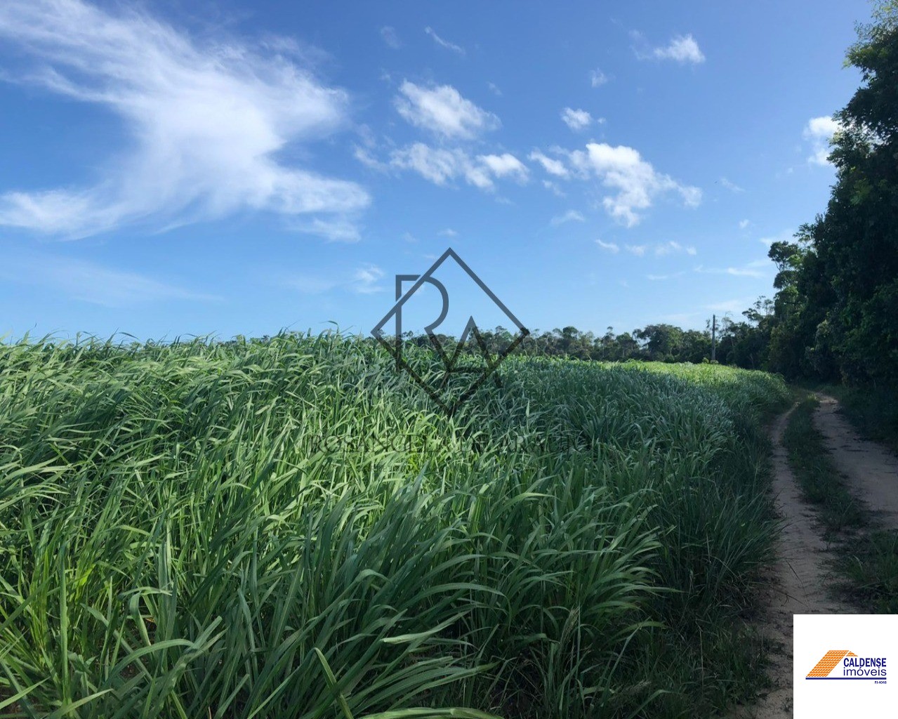 Fazenda à venda - Foto 45