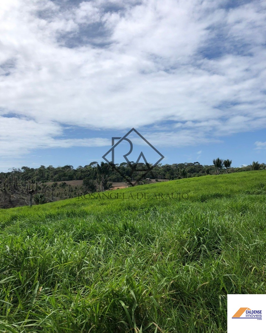 Fazenda à venda - Foto 37