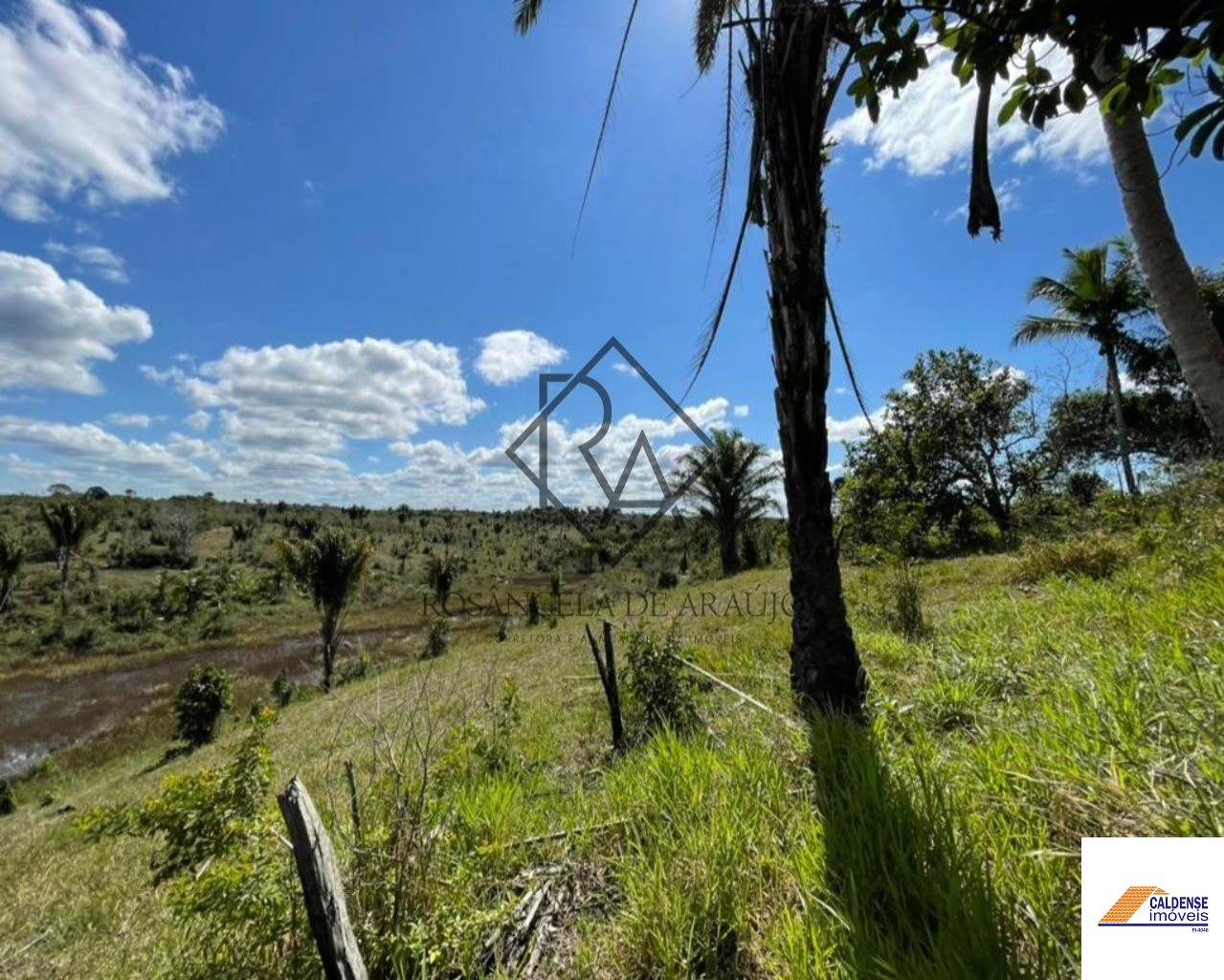 Fazenda à venda - Foto 9