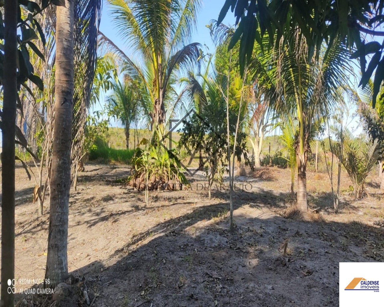 Fazenda à venda - Foto 8