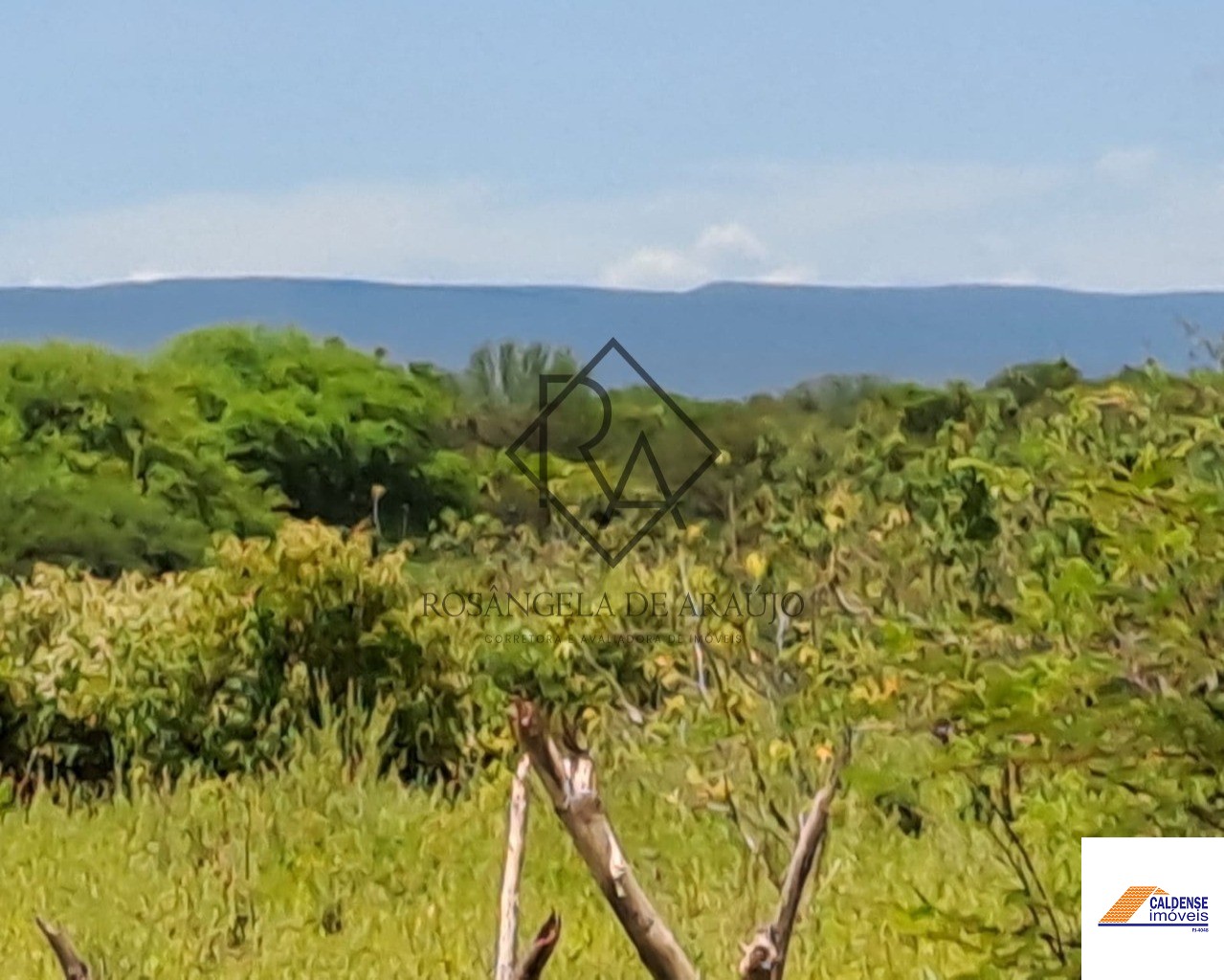 Fazenda à venda - Foto 6