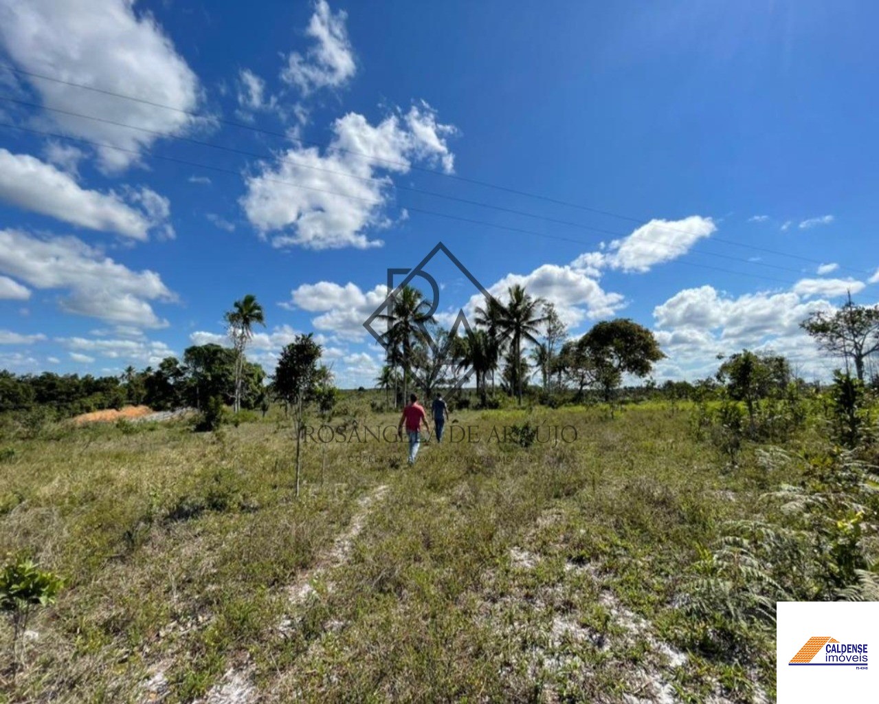 Fazenda à venda - Foto 2