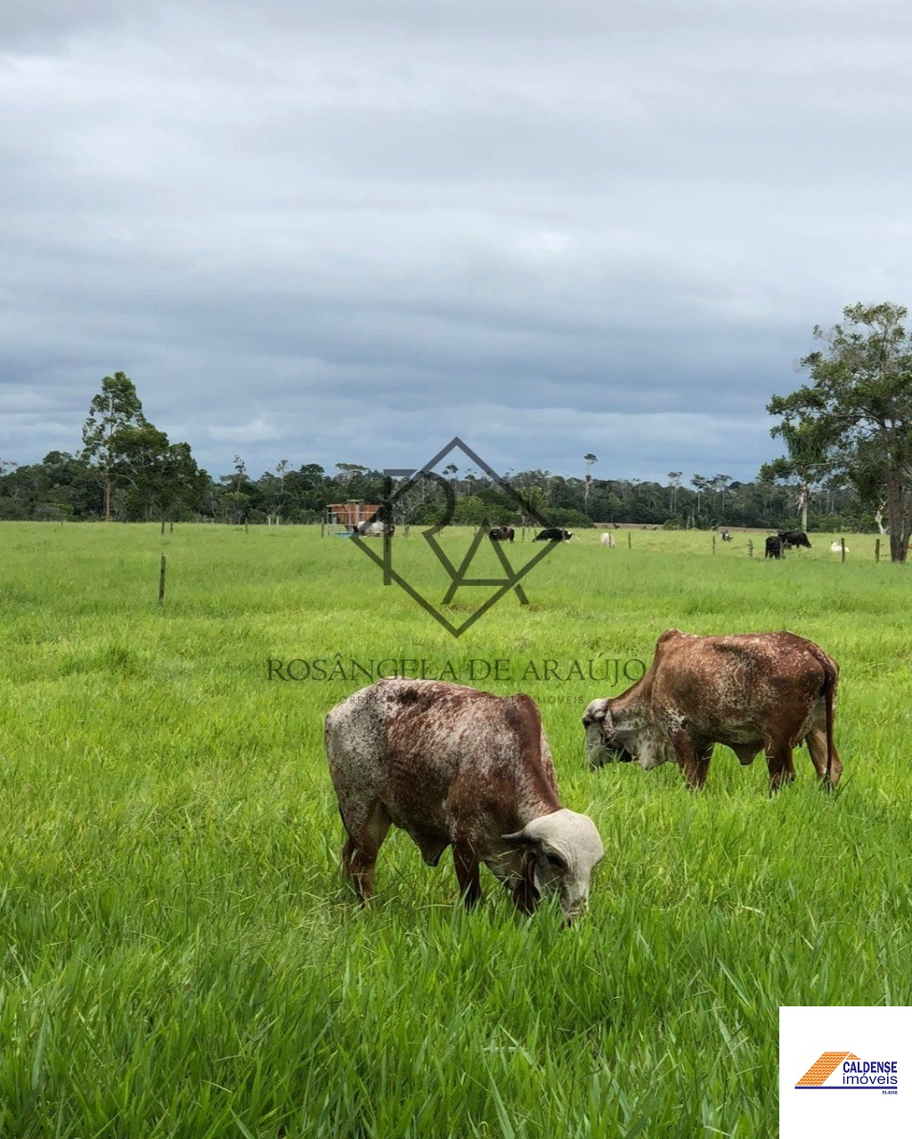 Fazenda à venda - Foto 48