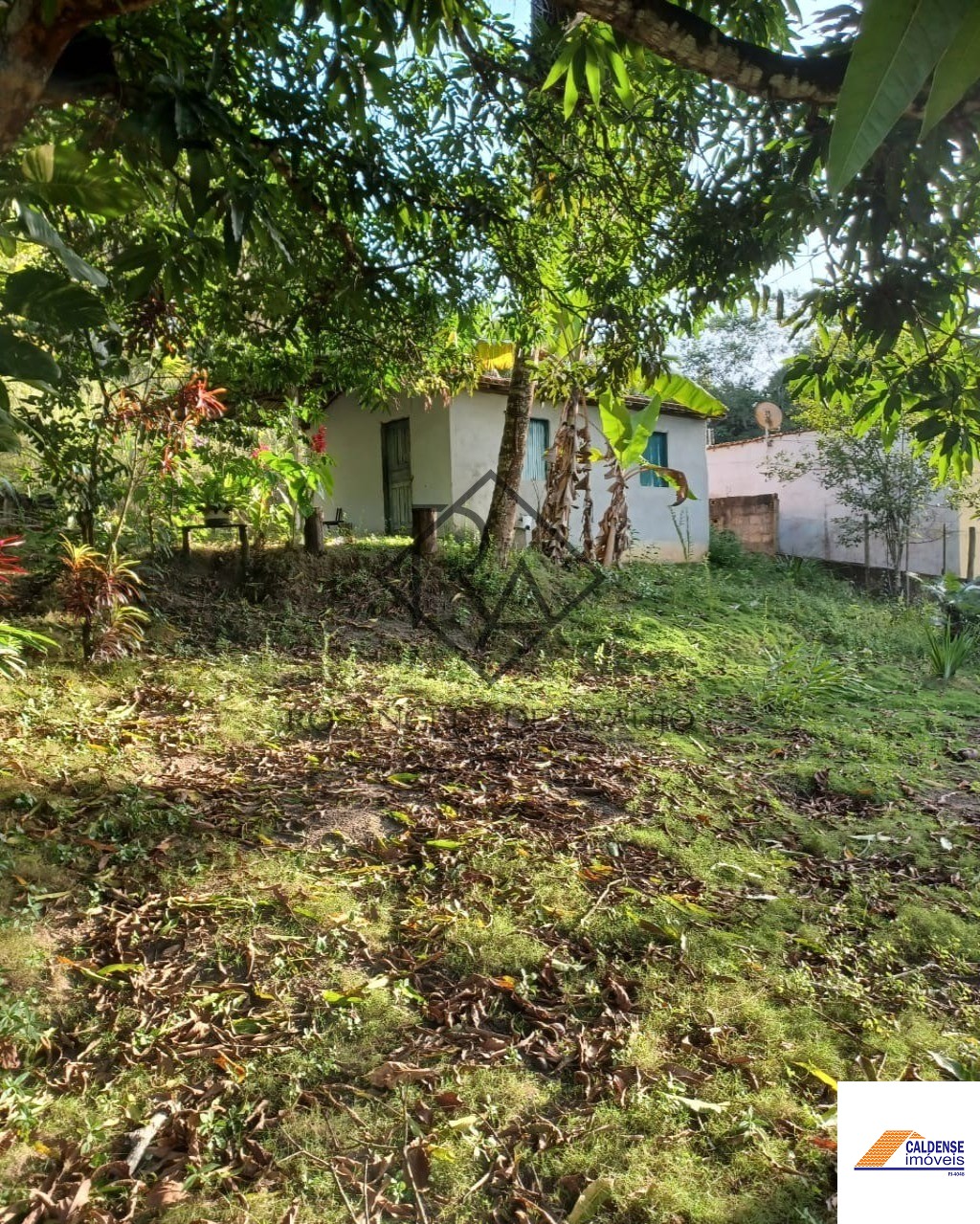 Terreno à venda, 6000m² - Foto 11