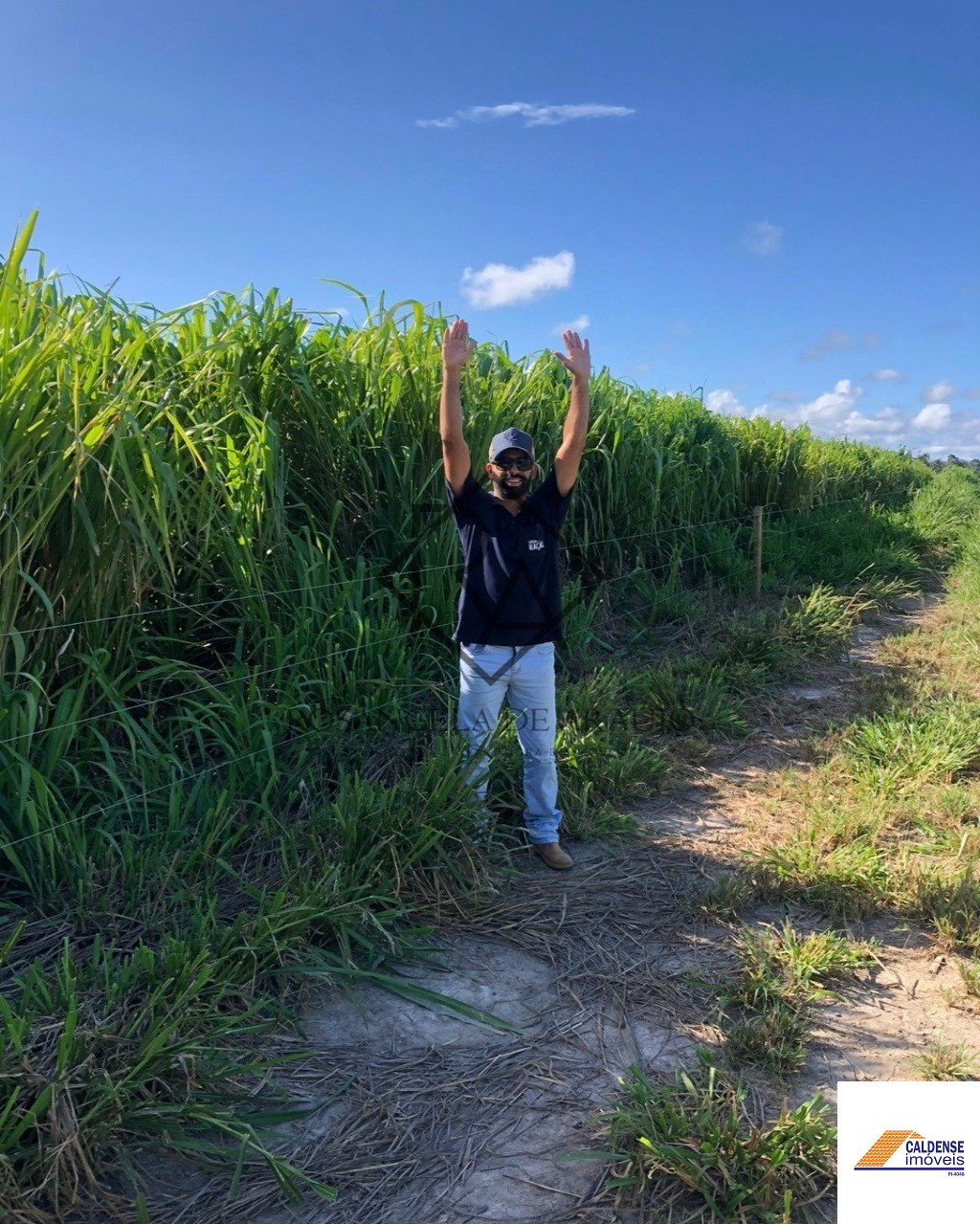 Fazenda à venda - Foto 46