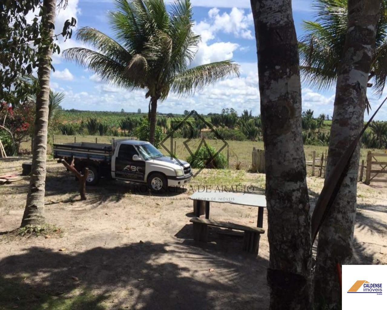 Fazenda à venda - Foto 5