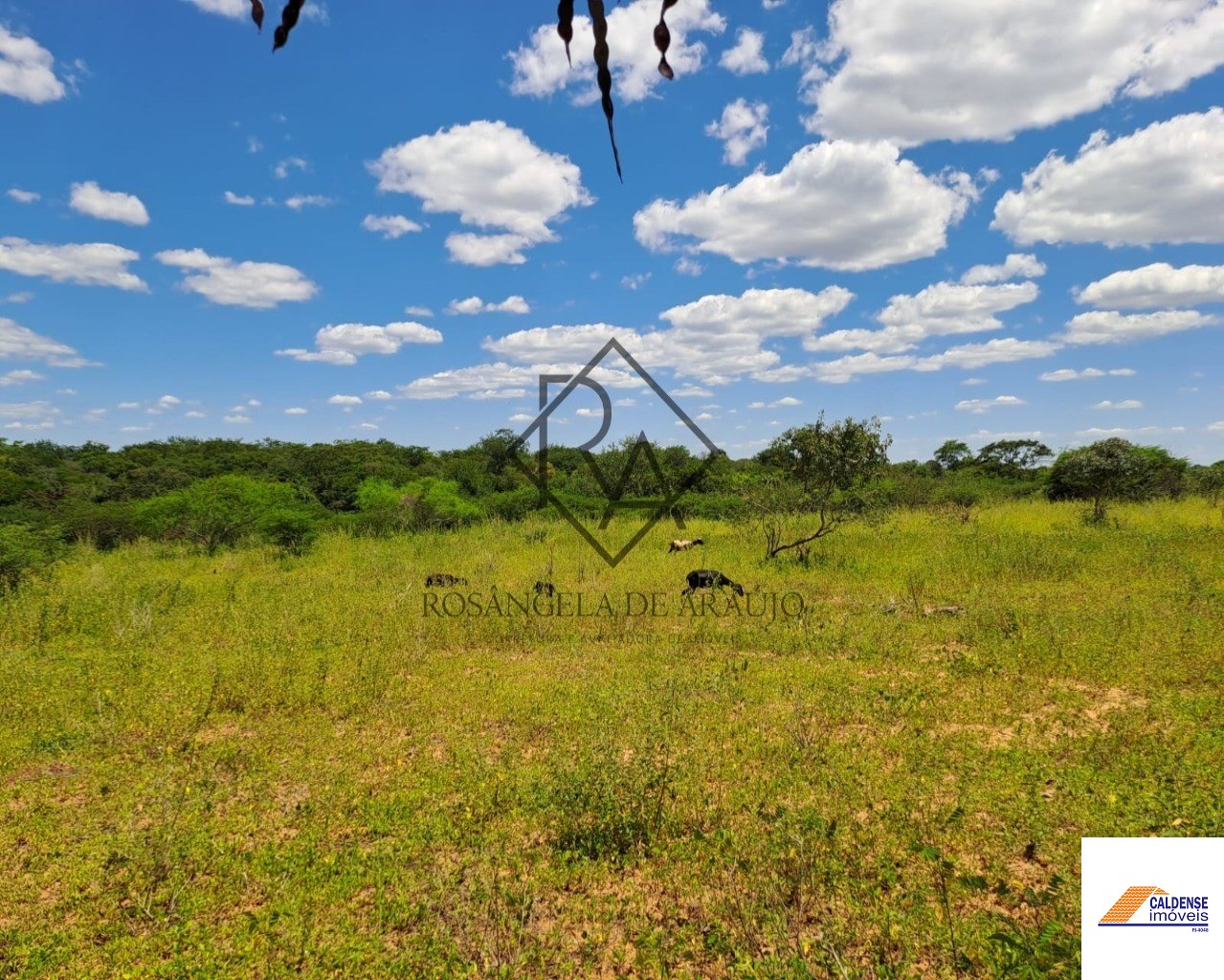 Fazenda à venda - Foto 15