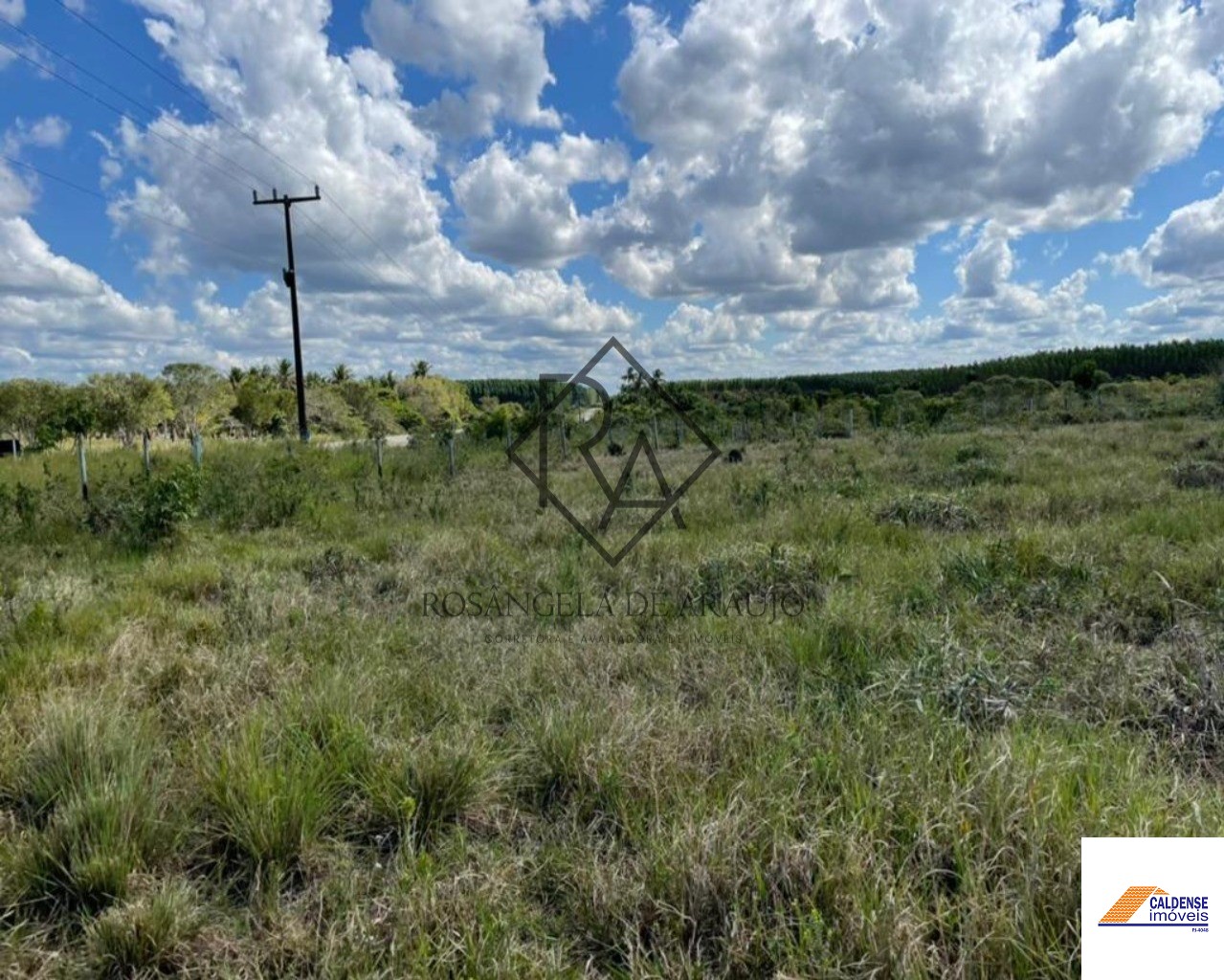 Fazenda à venda - Foto 12