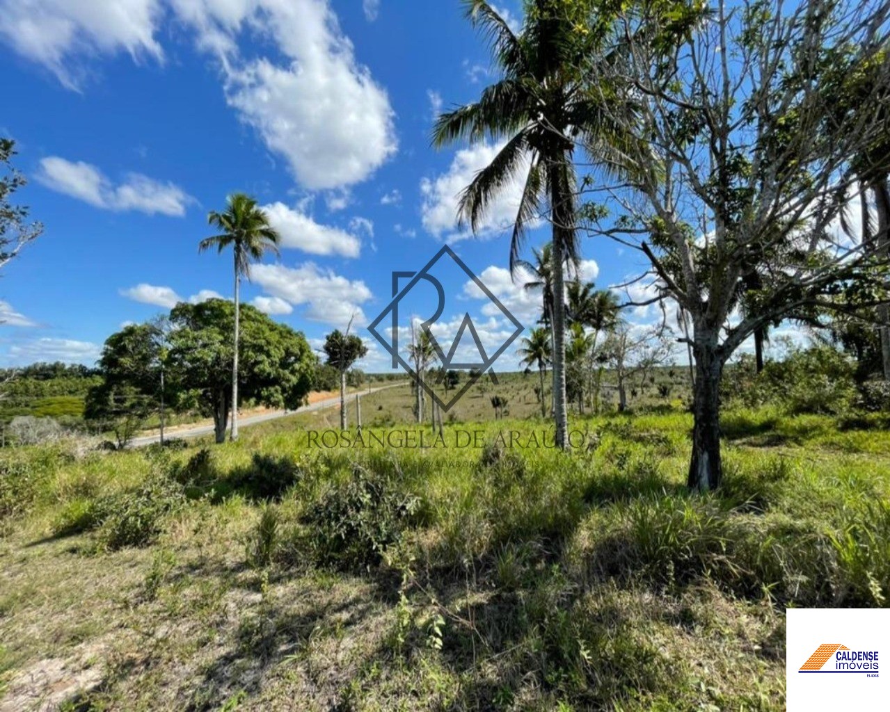 Fazenda à venda - Foto 3