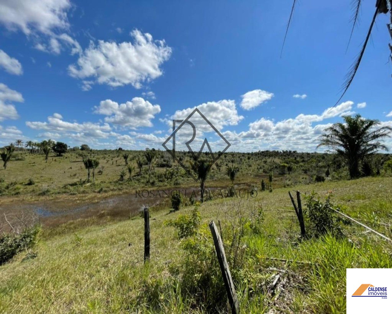 Fazenda à venda - Foto 8