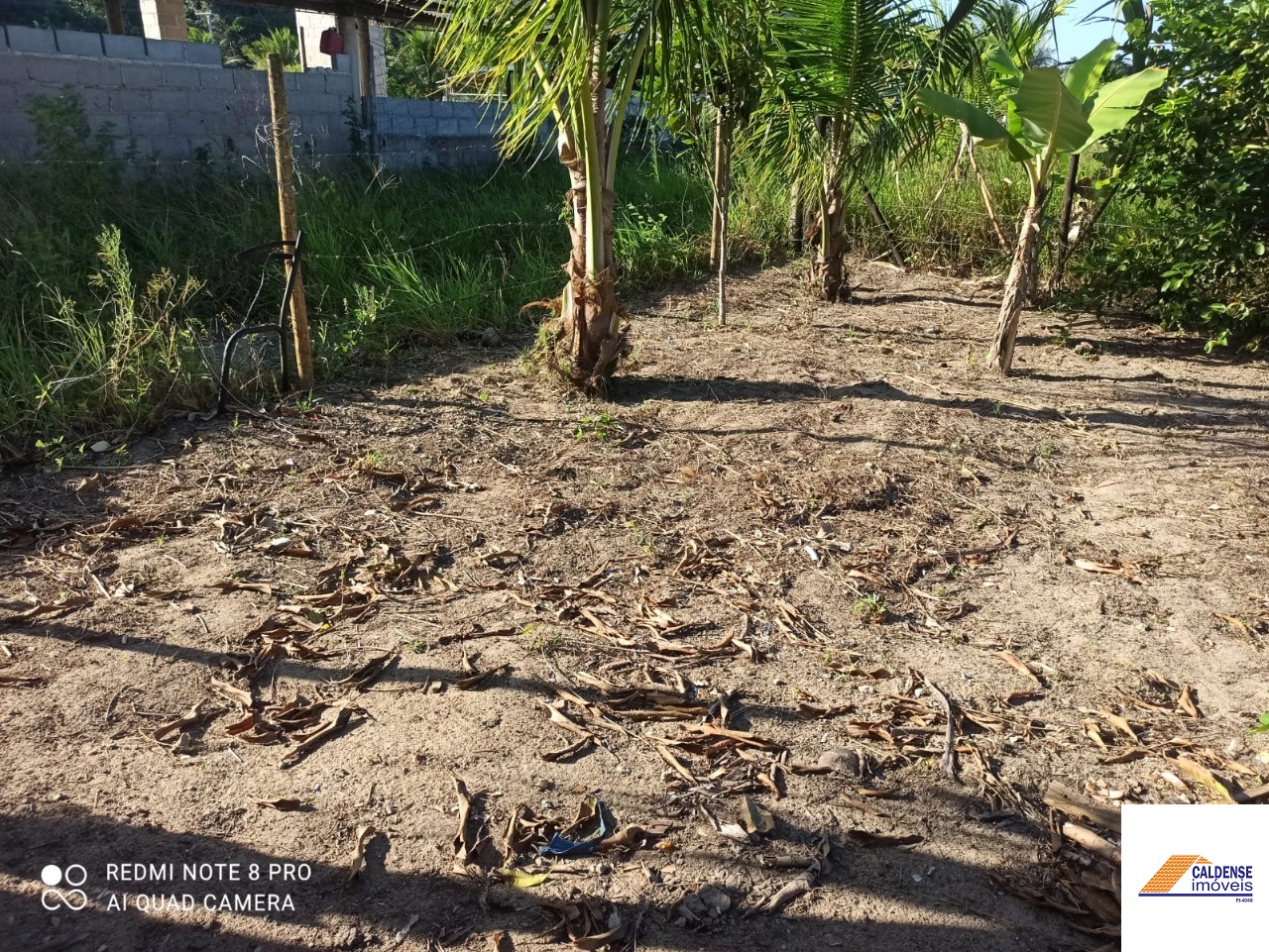 Terreno à venda - Foto 1