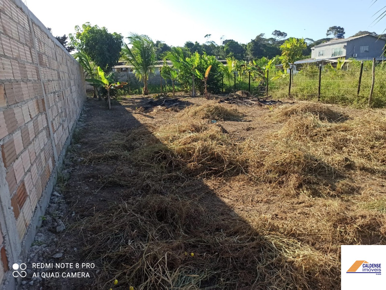 Terreno à venda - Foto 2